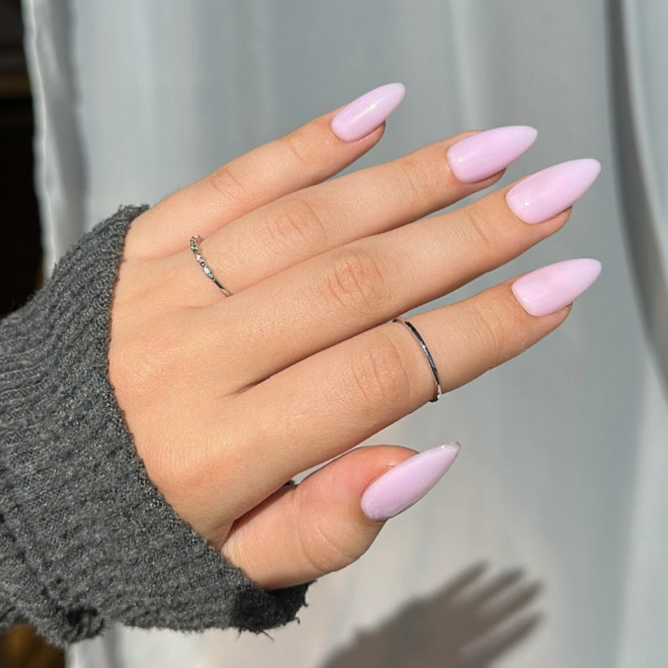 Lavender Blush